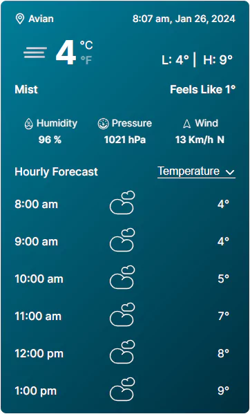 example of an hourly weather forecast for websites